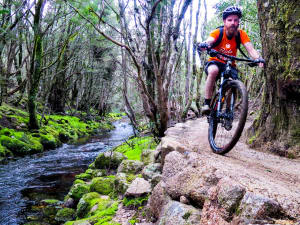 Blue Derby Trail Openings